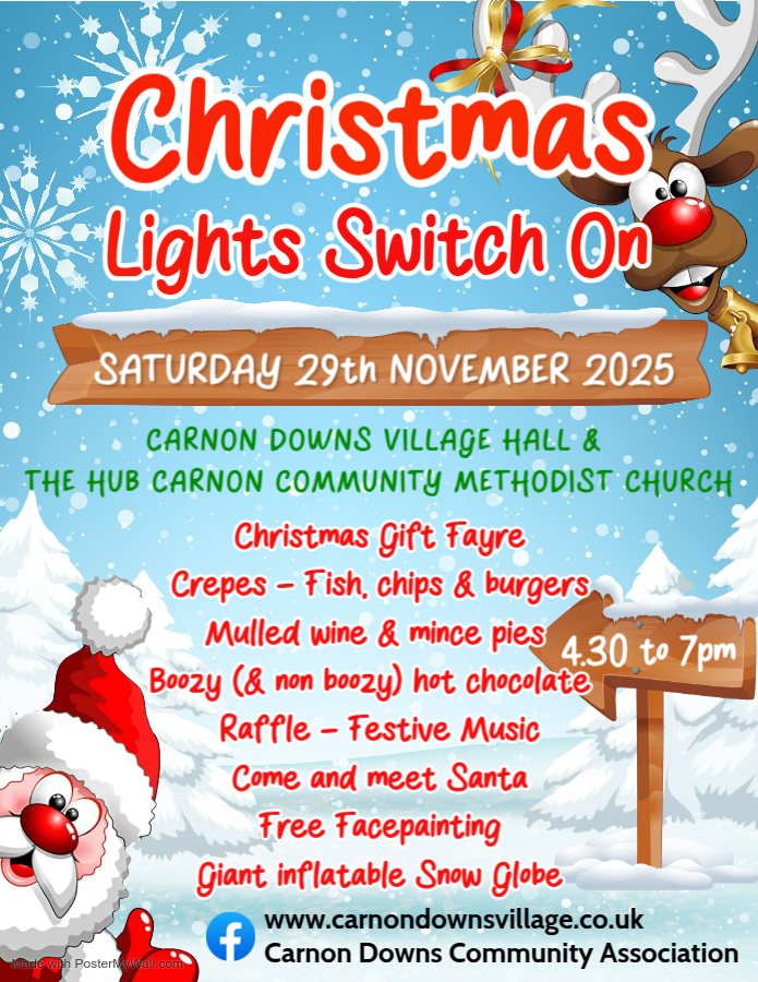 Christmas Lights Switch On